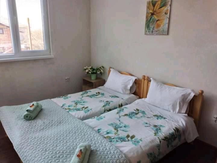 Holiday Guest House Kemo Sapareva Banya Eksteriør billede